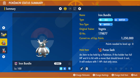 Pokemon Scarlet and Violet Marked Shiny Iron Bundle 6IV-EV Trained - Pokemon4Ever