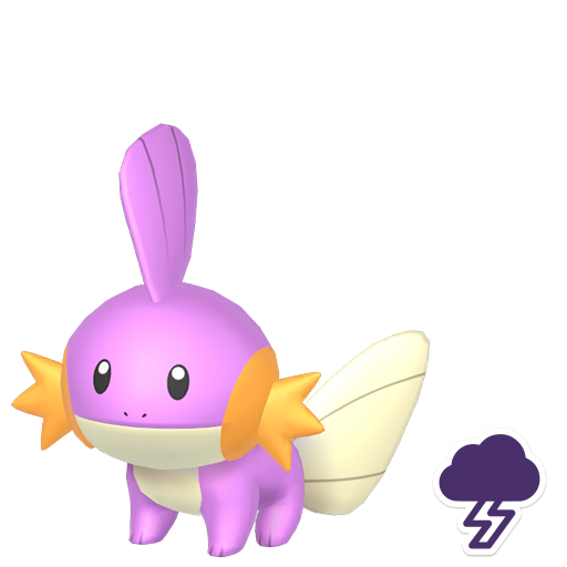 Pokemon Scarlet and Violet Marked Shiny Mudkip 6IV-EV Trained – Pokemon4Ever