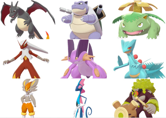 Pokemon Sword and Shield Evolved Starter Bundle 6IV-EV Trained - Pokemon4Ever