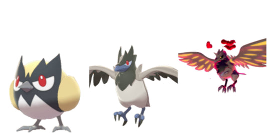 Pokemon Sword and Shield Rookidee Evolution Bundle 6IV-EV Trained - Pokemon4Ever