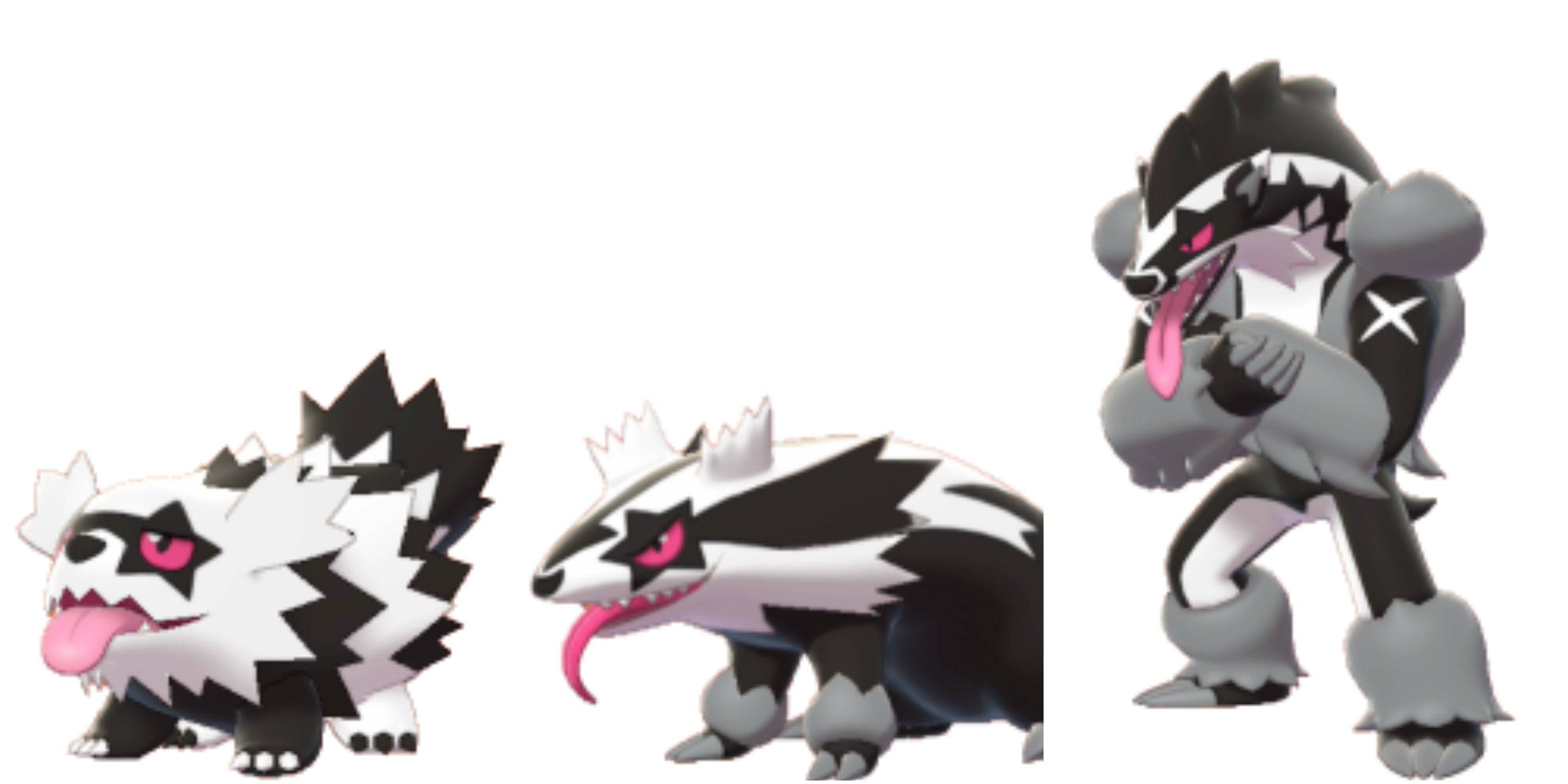 Zigzagoon Evolution Chart Pokemon Sword And Shield Galarian Form New zigzagoon-evolution-chart-pokemon-sword-and-shield-galarian-form-new
