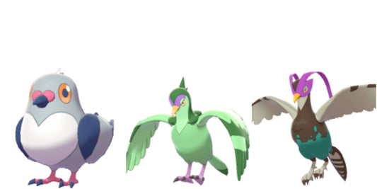 Pokemon Sword and Shield Pidove Evolution Bundle 6IV-EV Trained - Pokemon4Ever