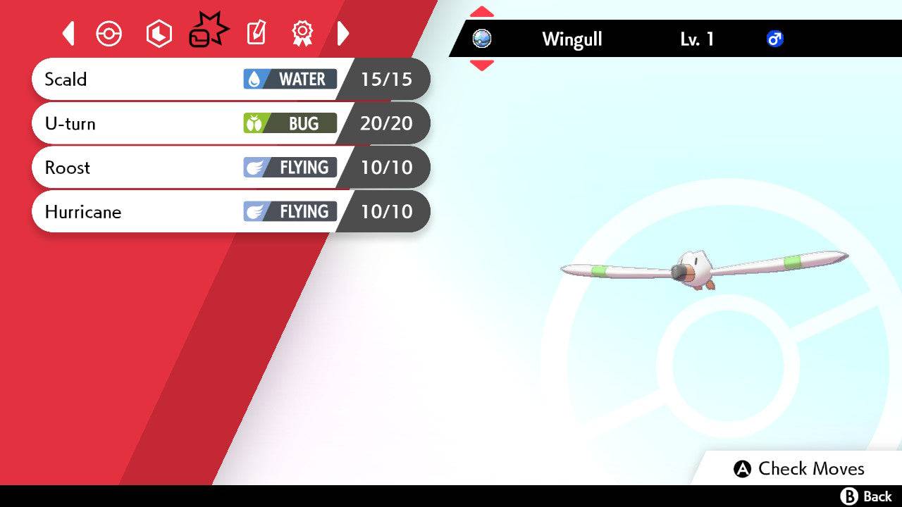 Pokemon Sword and Shield Shiny Wingull 6IV-EV Trained - Pokemon4Ever