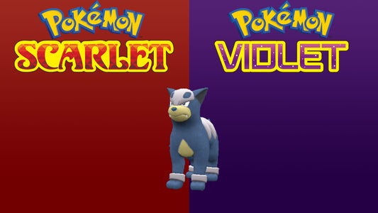 Pokemon Scarlet and Violet Shiny Houndour