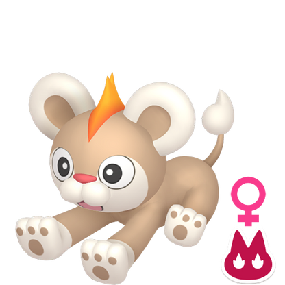 Pokemon Legends ZA Alpha Shiny Litleo-F 6IV-EV Trained - Pokemon4Ever