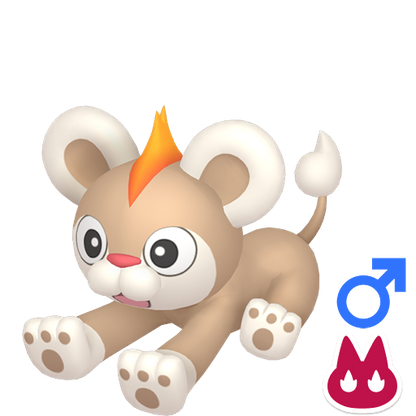 Pokemon Legends ZA Alpha Shiny Litleo-M 6IV-EV Trained - Pokemon4Ever