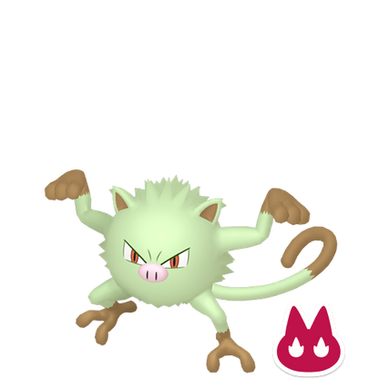 Pokemon Legends ZA Alpha Shiny Mankey 6IV-EV Trained - Pokemon4Ever