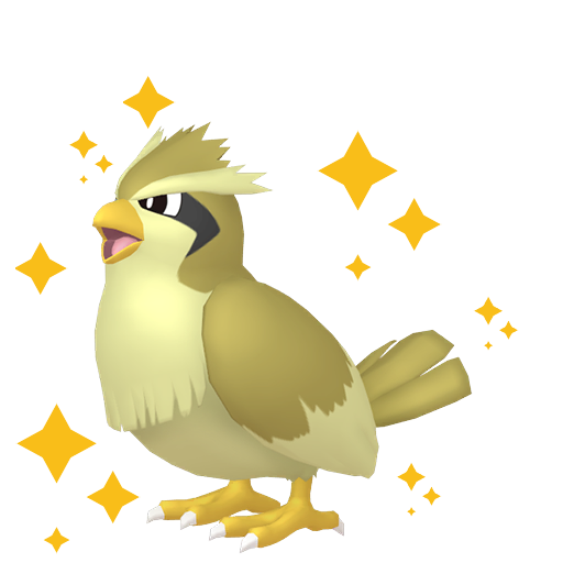 Pokemon Legends ZA Shiny Pidgey 6IV-EV Trained - Pokemon4Ever