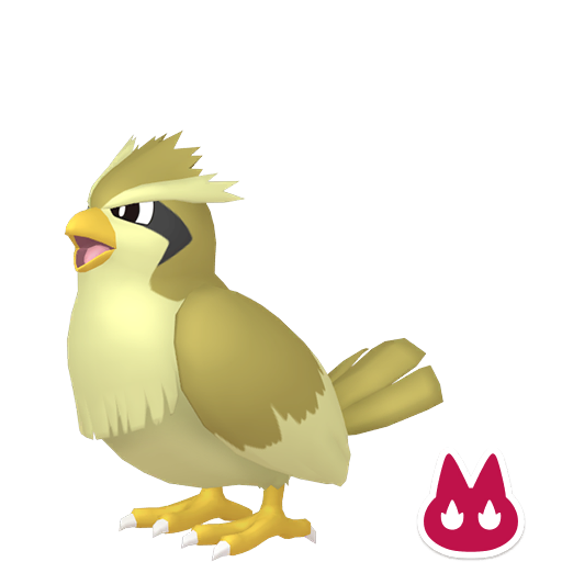 Pokemon Legends ZA Alpha Shiny Pidgey 6IV-EV Trained - Pokemon4Ever