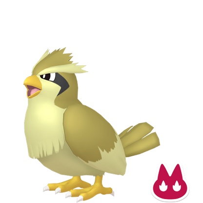 Pokemon Legends ZA Alpha Shiny Pidgey 6IV-EV Trained - Pokemon4Ever