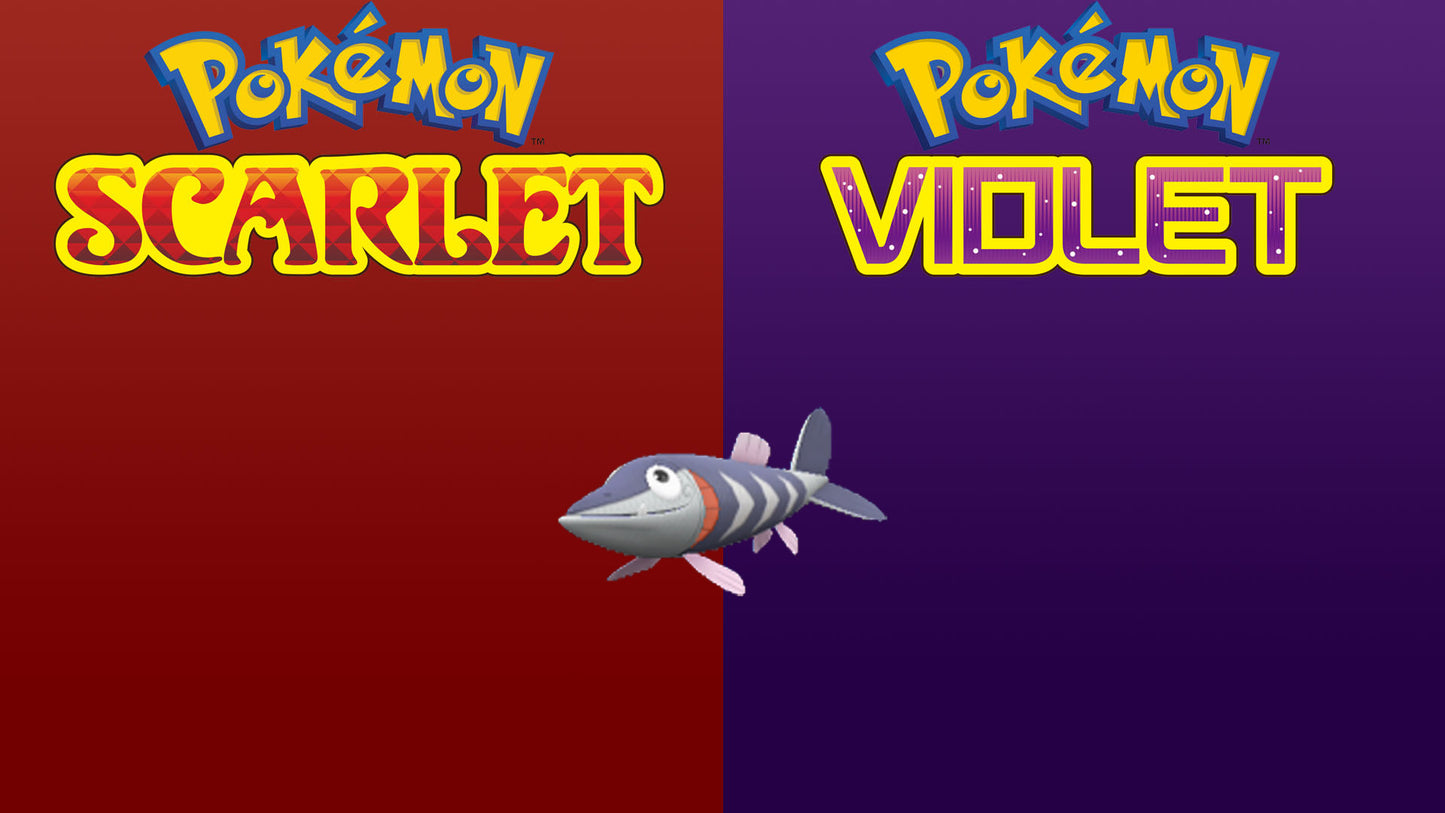 Pokemon Scarlet and Violet Shiny Arrokuda 6IV-EV Trained - Pokemon4Ever