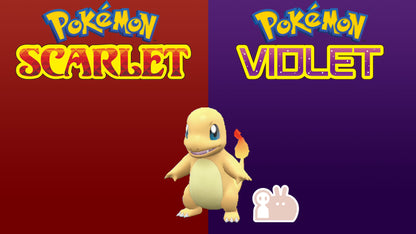 Pokemon Scarlet and Violet Marked Shiny Charmander 6IV-EV Trained - Pokemon4Ever
