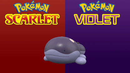 Pokemon Scarlet and Violet Shiny Clodsire 6IV-EV Trained - Pokemon4Ever