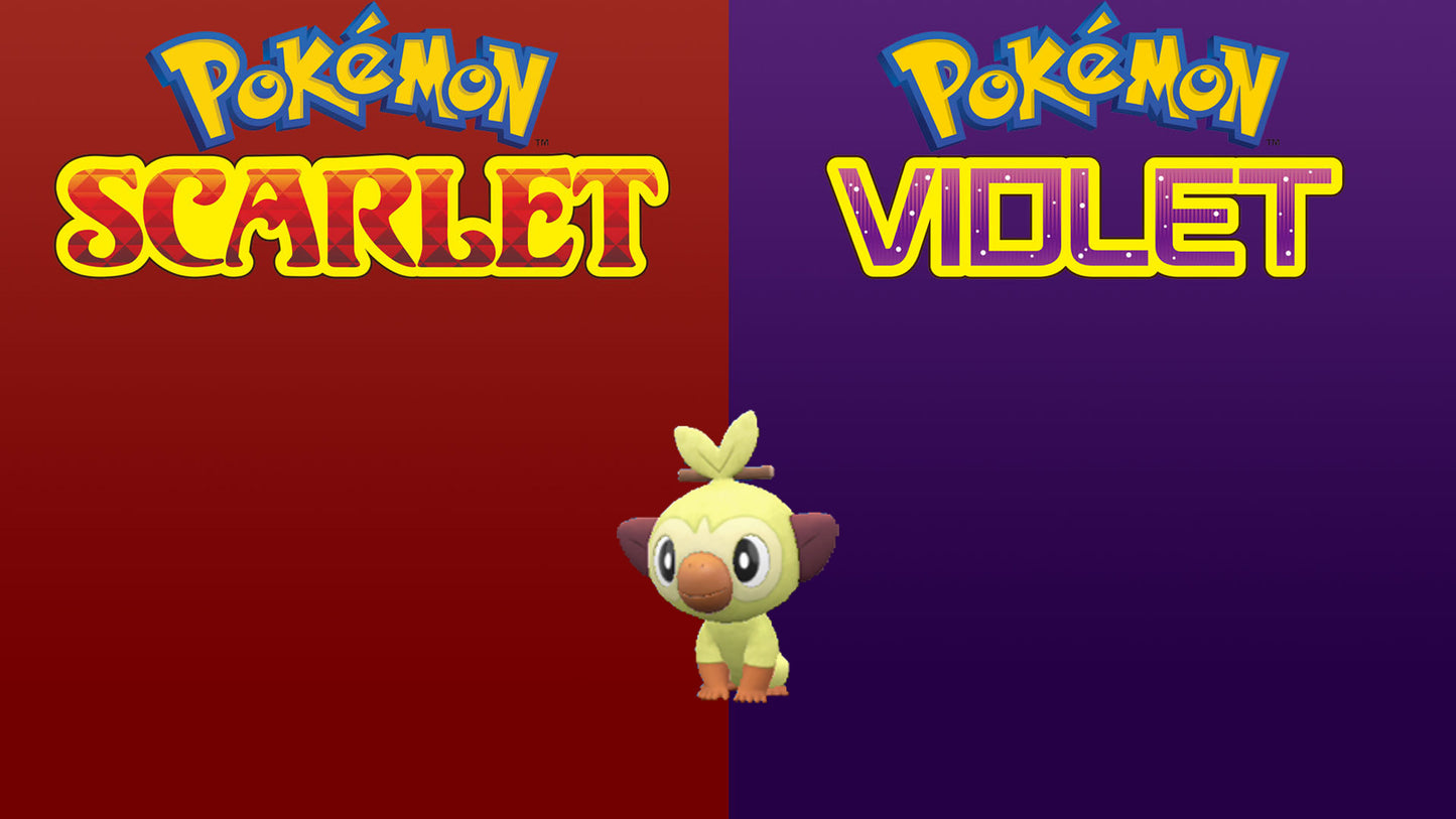 Pokemon Scarlet and Violet Shiny Grookey 