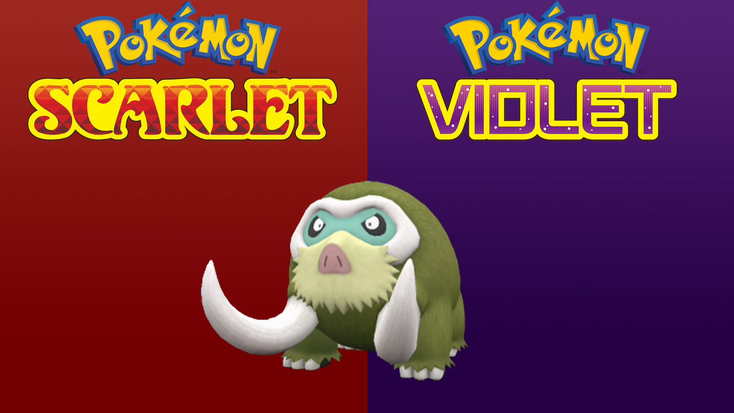 Pokemon Scarlet and Violet Shiny Mamoswine 6IV-EV Trained - Pokemon4Ever