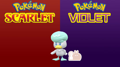 Pokemon Scarlet and Violet Marked Shiny Quaxly 6IV-EV Trained - Pokemon4Ever