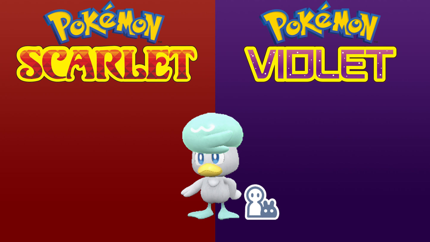 Pokemon Scarlet and Violet Marked Shiny Quaxly 6IV-EV Trained - Pokemon4Ever