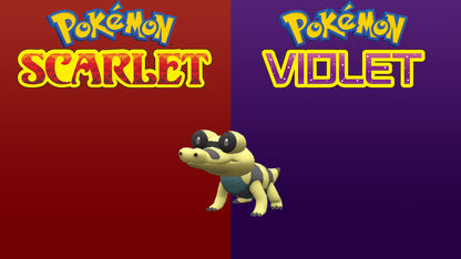 Pokemon Scarlet and Violet Shiny Sandile 6IV-EV Trained - Pokemon4Ever