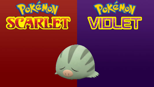 Pokemon Scarlet and Violet Shiny Swinub 6IV-EV Trained