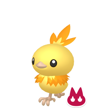 Pokemon Legends ZA Alpha Shiny Torchic 6IV-EV Trained - Pokemon4Ever