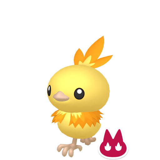 Pokemon Legends ZA Alpha Shiny Torchic 6IV-EV Trained - Pokemon4Ever