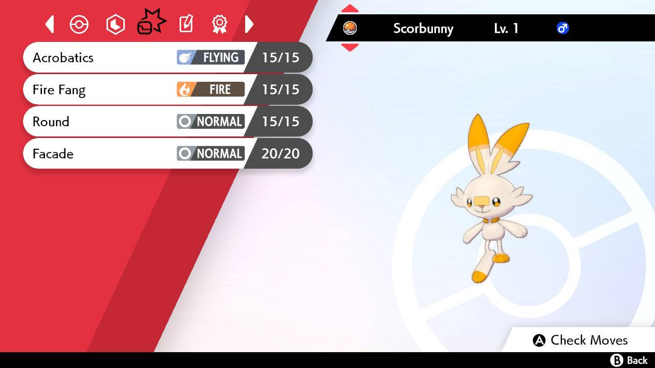 Pokemon Sword and Shield Shiny Scorbunny 6IV-EV Trained - Pokemon4Ever