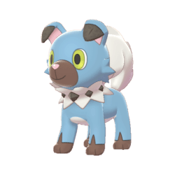 Pokemon Sword and Shield Shiny Rockruff 6IV-EV Trained - Pokemon4Ever