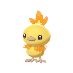 Pokemon Sword and Shield Ultra Shiny Torchic 6IV-EV Trained - Pokemon4Ever