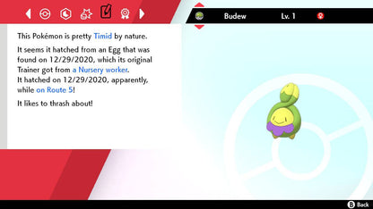 Pokemon Sword and Shield Shiny Budew 6IV-EV Trained - Pokemon4Ever