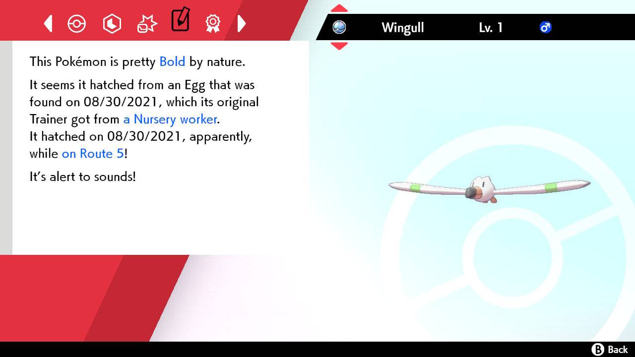 Pokemon Sword and Shield Shiny Wingull 6IV-EV Trained - Pokemon4Ever