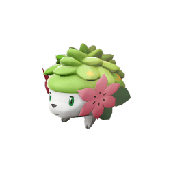 Pokemon Legends Arceus Shaymin Max Effort Levels 6IV-EV Trained - Pokemon4Ever