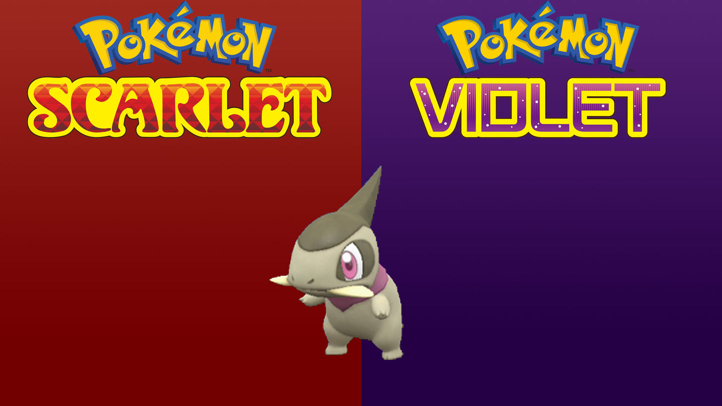 Pokemon Scarlet and Violet Shiny Axew 6IV-EV Trained - Pokemon4Ever