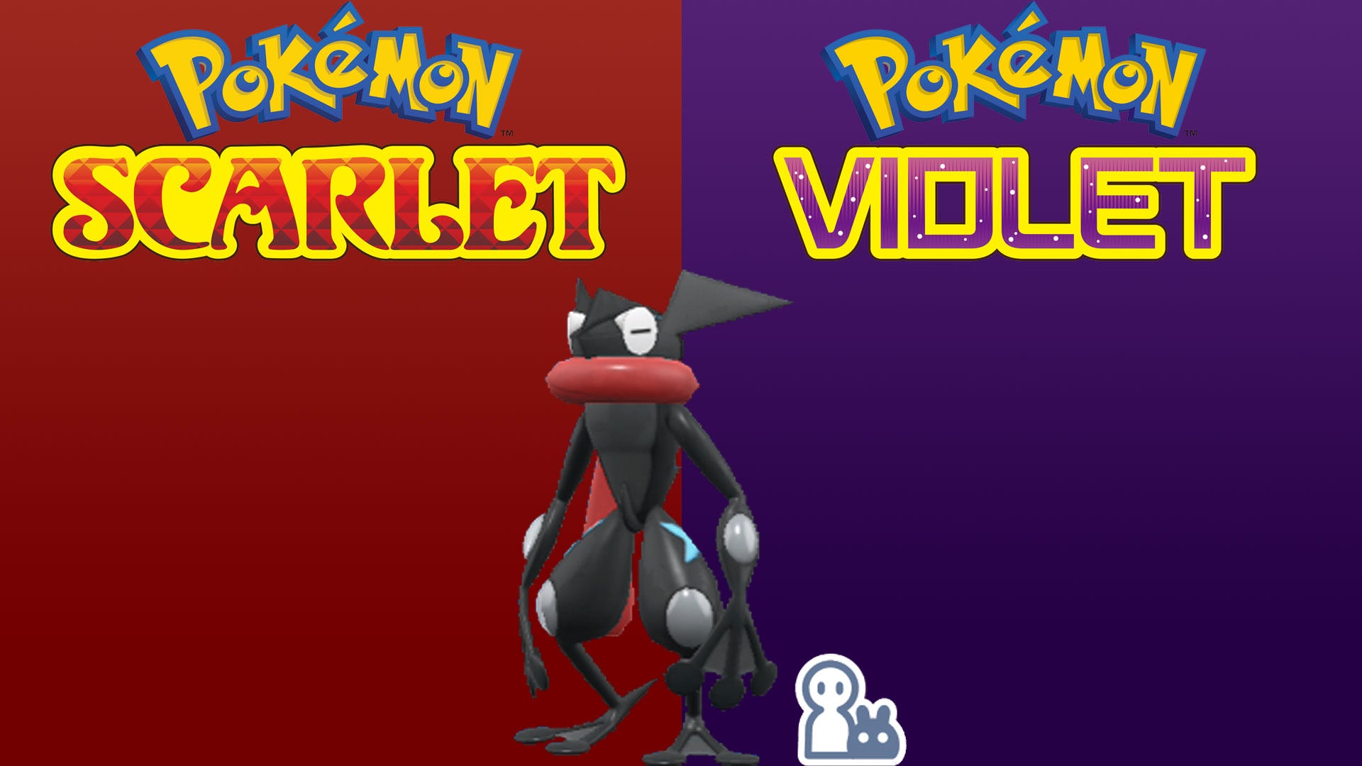 Pokemon Scarlet and Violet Marked Shiny Greninja 6IV-EV Trained - Pokemon4Ever