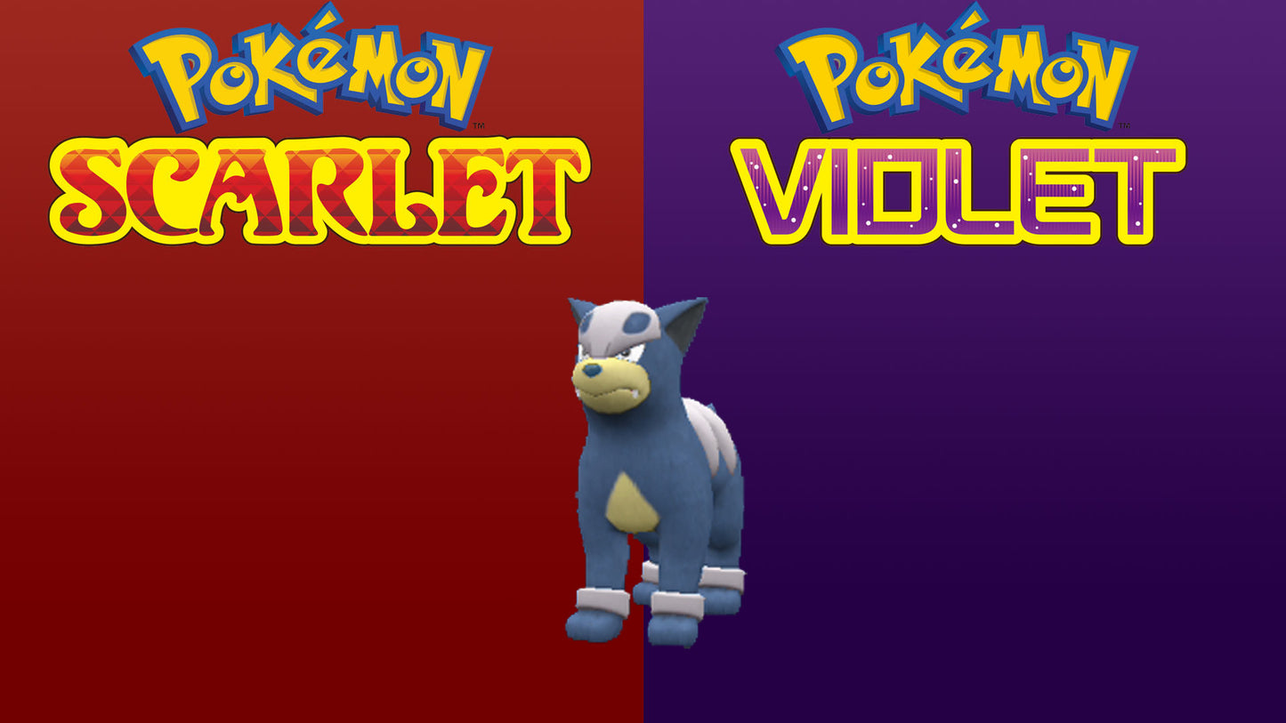 Pokemon Scarlet and Violet Shiny Houndour 
