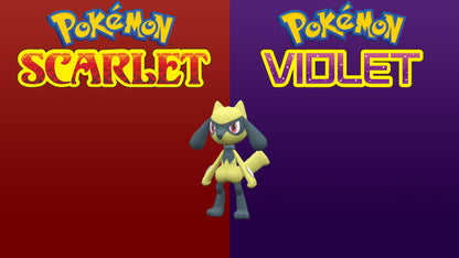 Pokemon Scarlet and Violet Shiny Riolu 6IV-EV Trained - Pokemon4Ever
