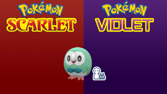 Pokemon Scarlet and Violet Marked Shiny Rowlet 6IV-EV Trained - Pokemon4Ever
