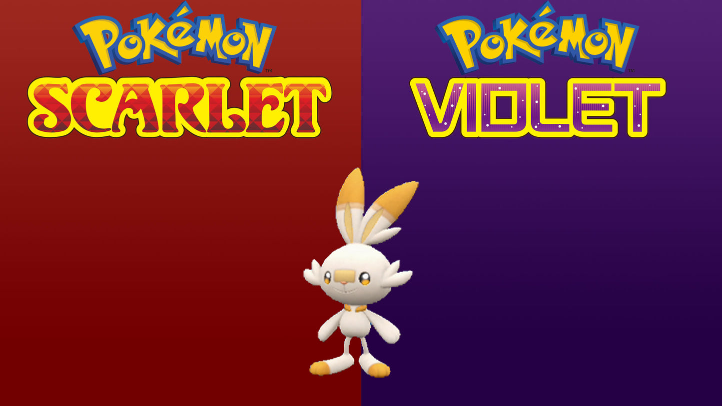 Pokemon Scarlet and Violet Shiny Scorbunny 
