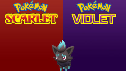 Pokemon Scarlet and Violet Zorua 6IV-EV Trained - Pokemon4Ever