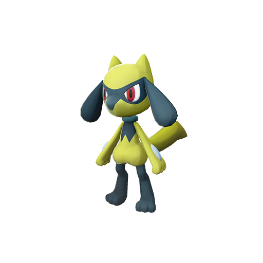 Pokemon Legends: Arceus Shiny Alpha Riolu Max Effort Levels 6IV-EV Trained - Pokemon4Ever